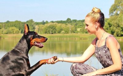 Introducing Your Rescue Dog to New People
